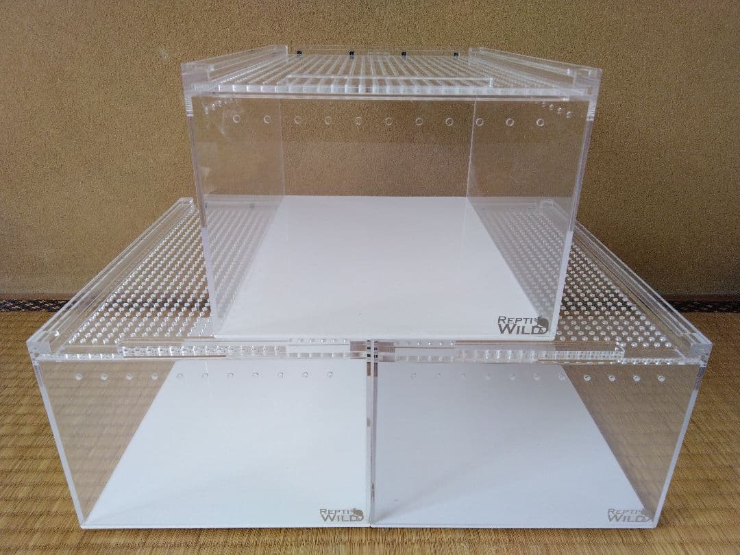 レプタイルボックス　３個セット