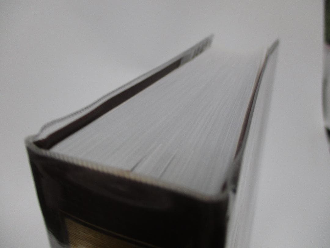 電池ハンドブック 電気化学会 電池技術委員会