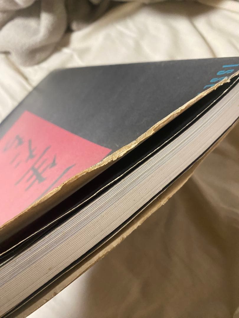 ISSEY MIYAKE 一生たち MDS 1970-1985