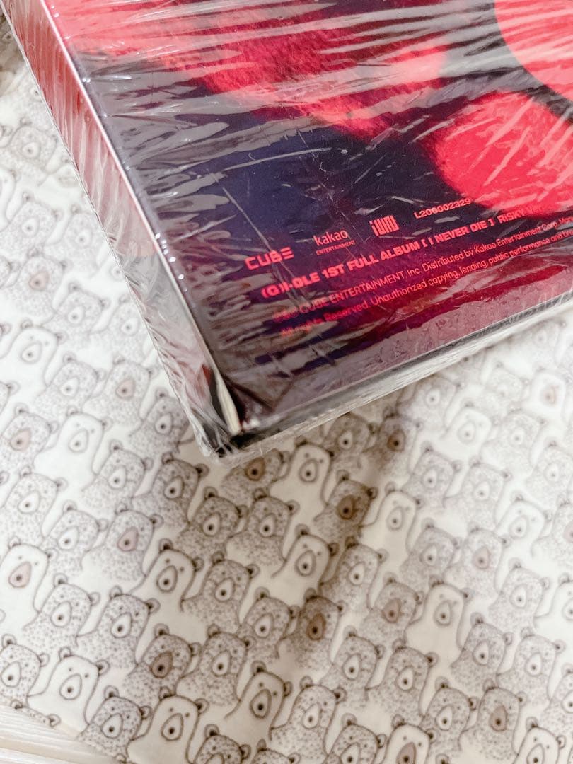 【送料込み】(G)I-DLE I NEVER DIE RiSKYver. トレカ