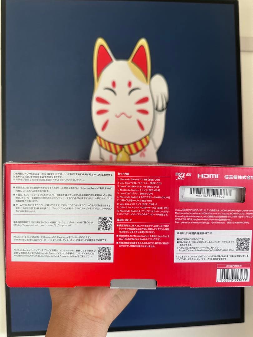 Switch2マリオカートセット