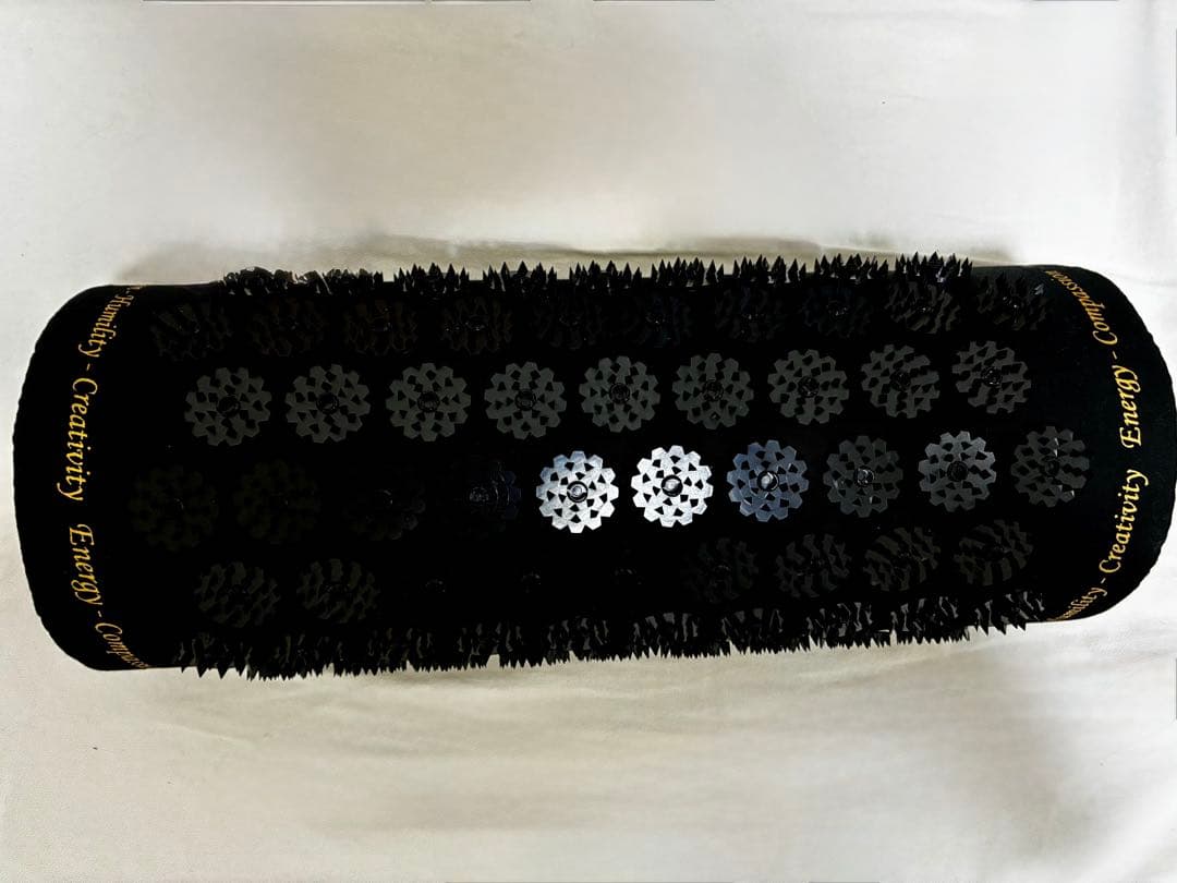 SHAKTI シャクティ PILLOW BLACK level2