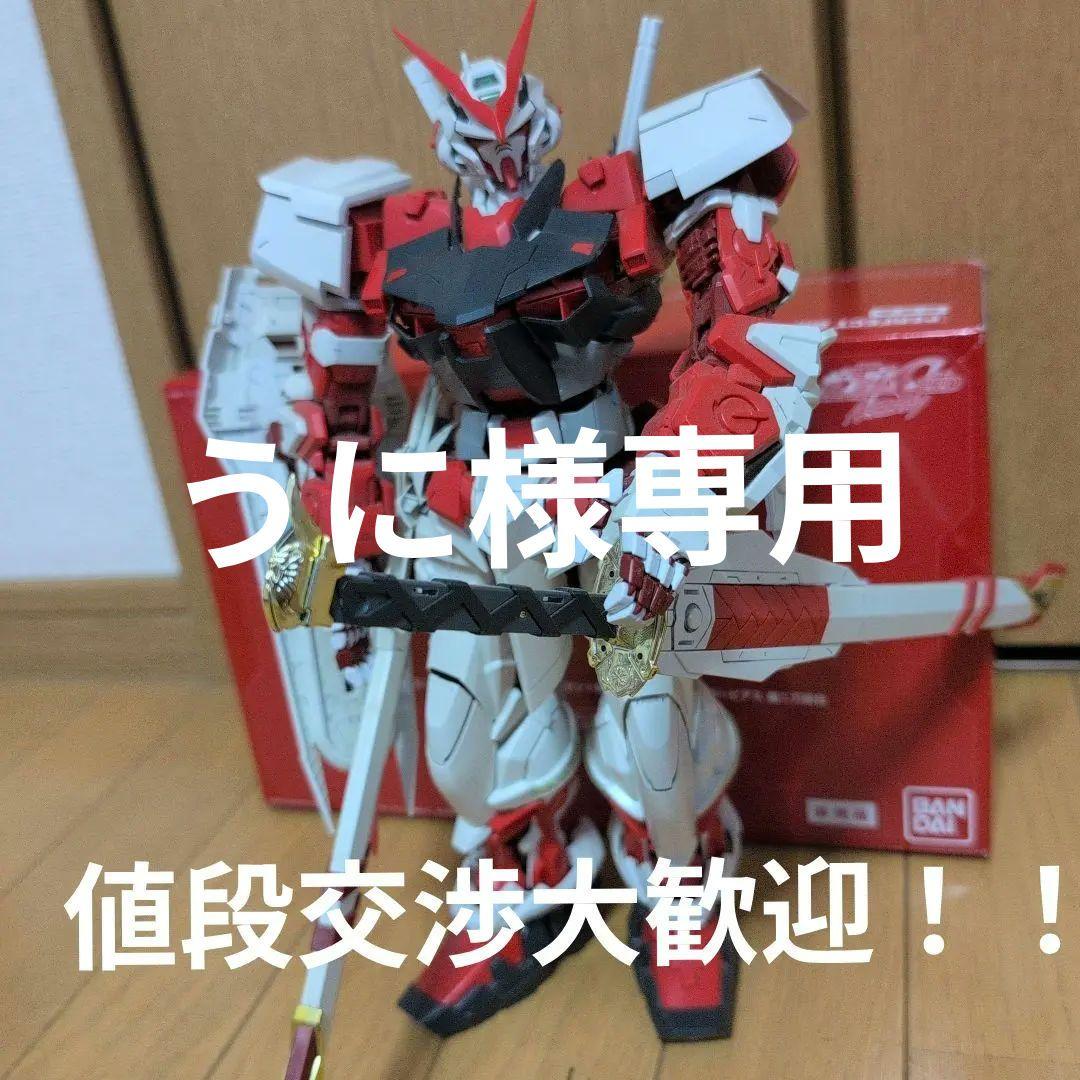 1/60PGアストレイレッドフレーム＋早期購入特典