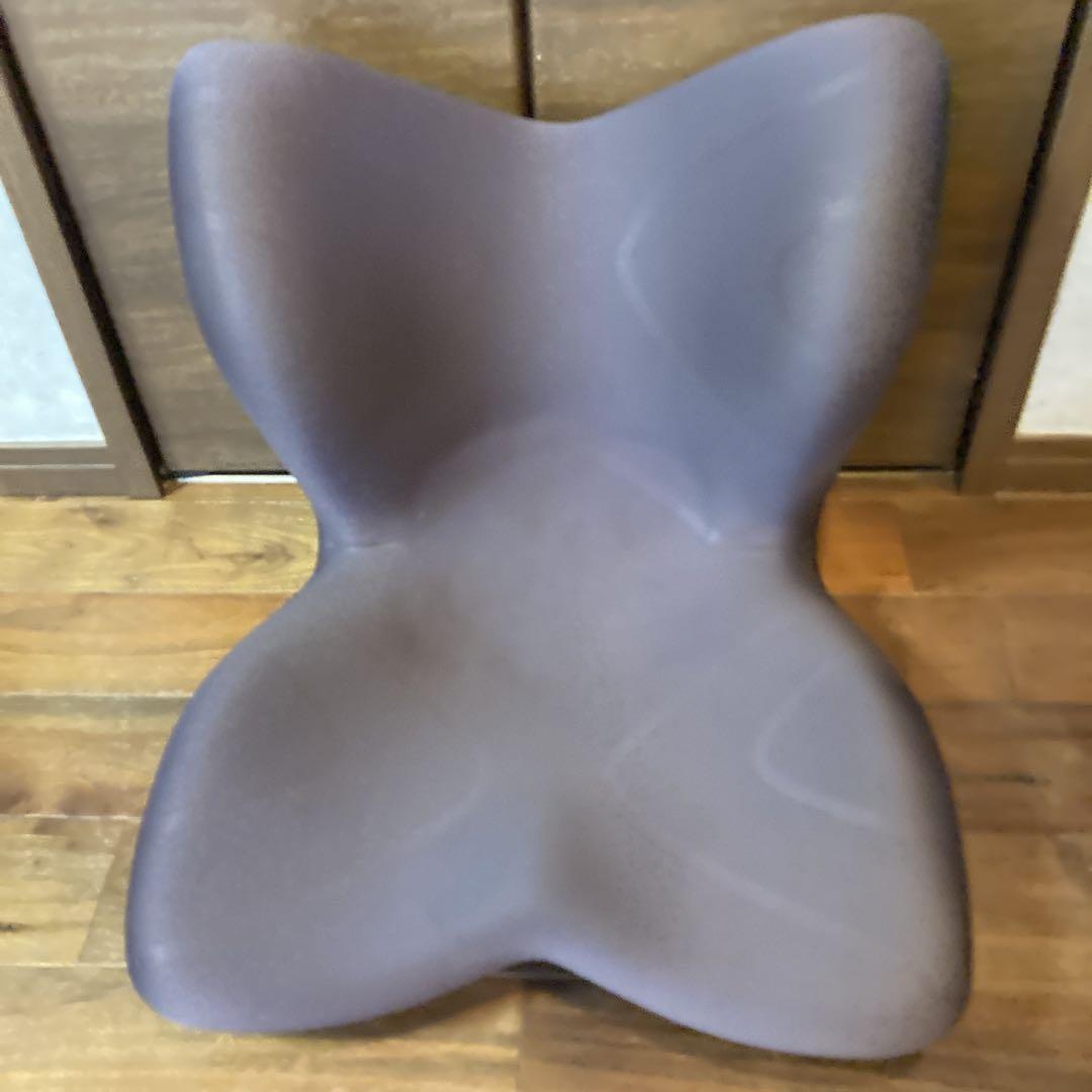 極美品✨️ MTG Style PREMIUM スタイル プレミアム ボディメイク