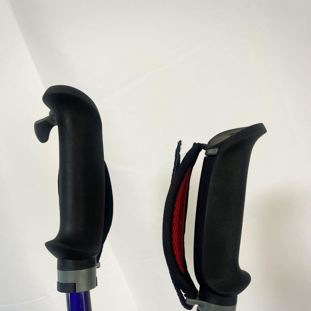 カワハラポール　カワハラウォーキング　紫