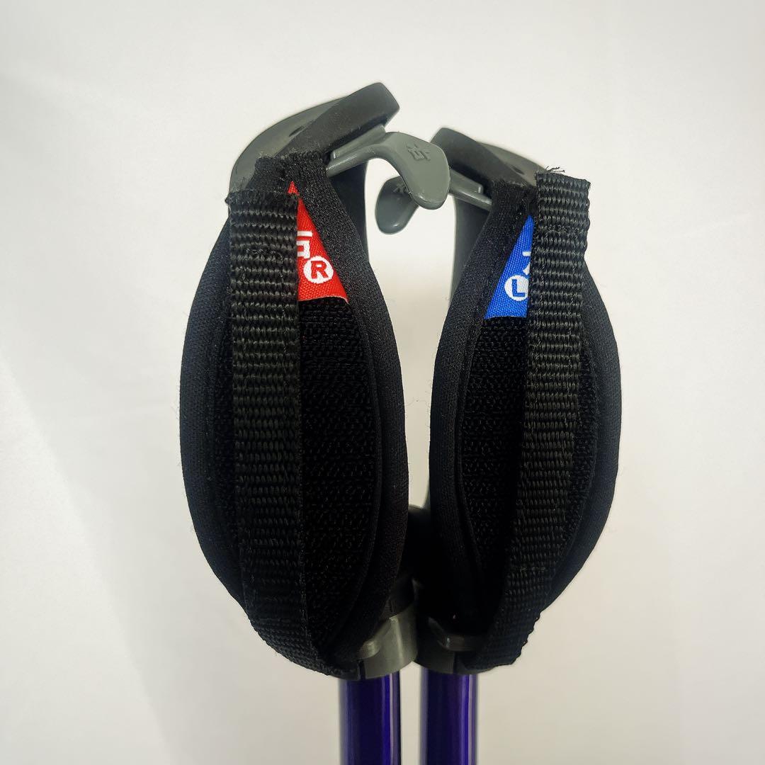 カワハラポール　カワハラウォーキング　紫