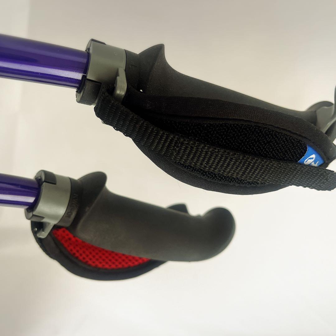 カワハラポール　カワハラウォーキング　紫