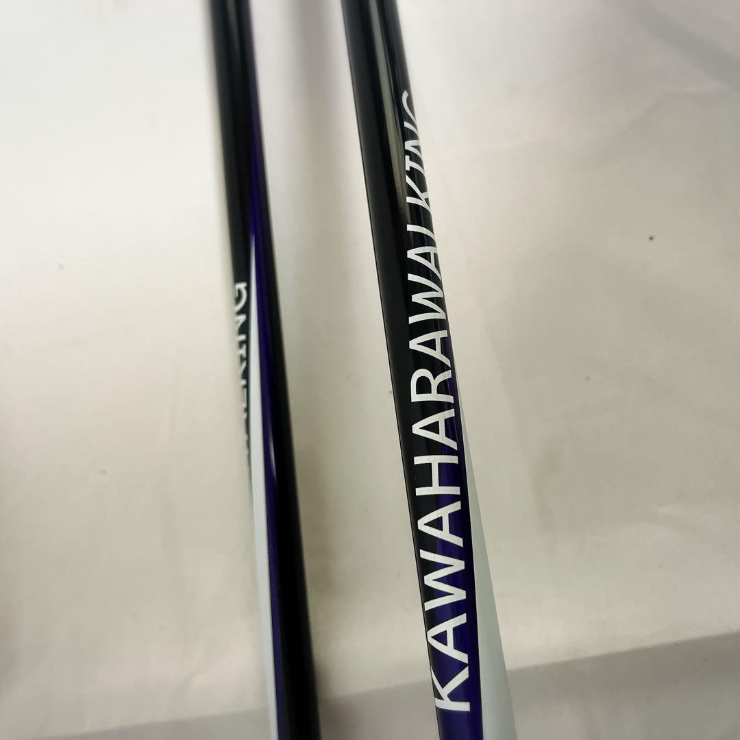 カワハラポール　カワハラウォーキング　紫