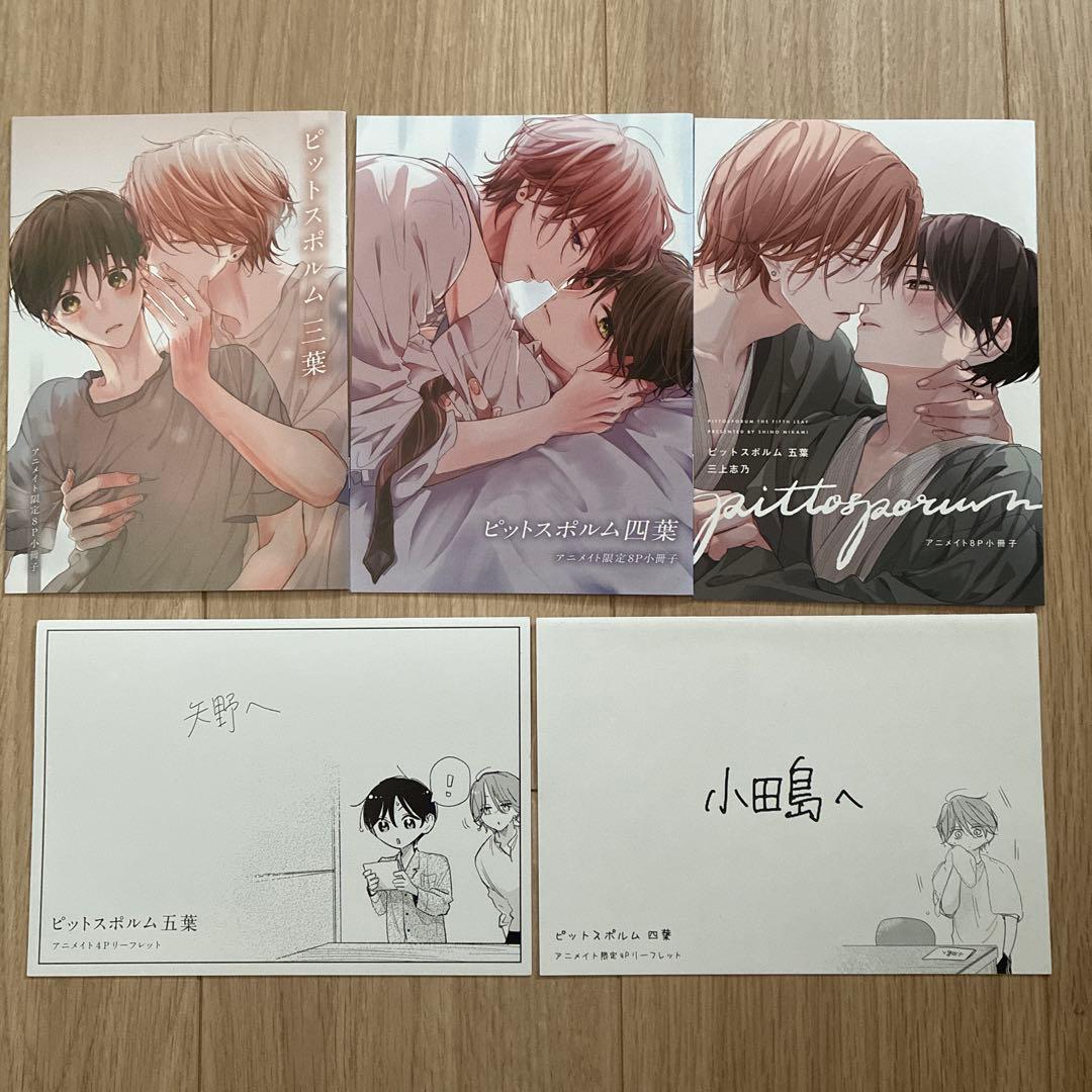 ピットスポルム　特典20点　小冊子　リーフレット　イラストカード　クリアカード