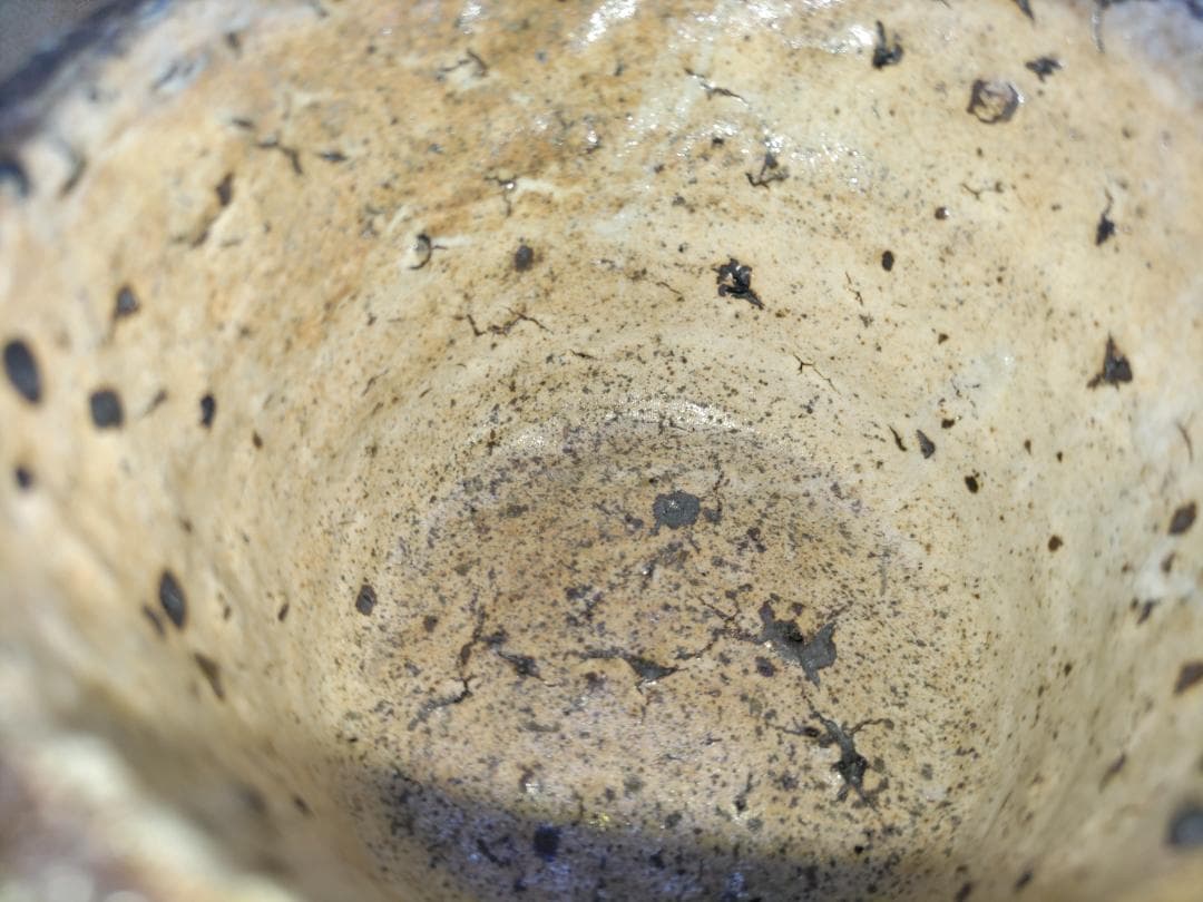 中川自然坊 湯飲み ①