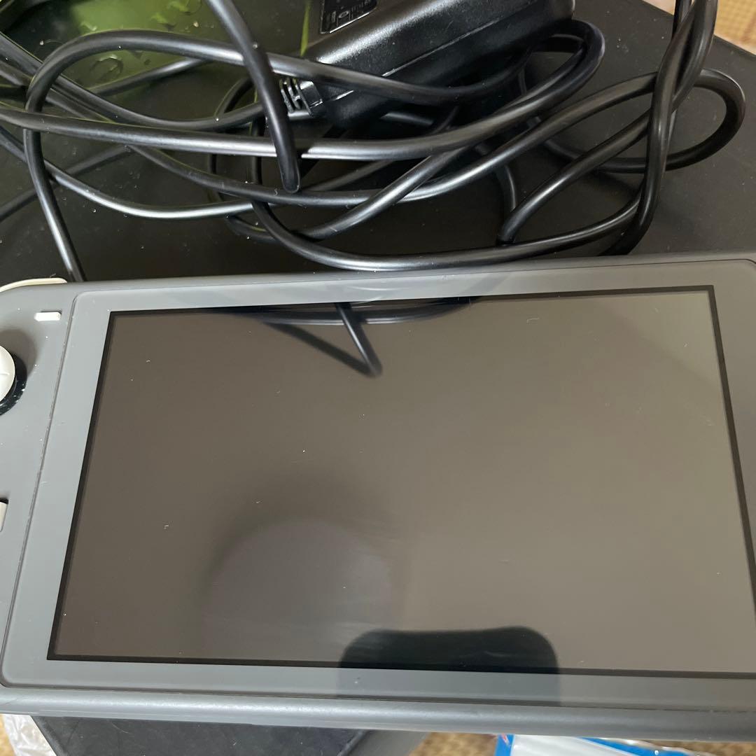 任天堂スイッチライト、3DSライト