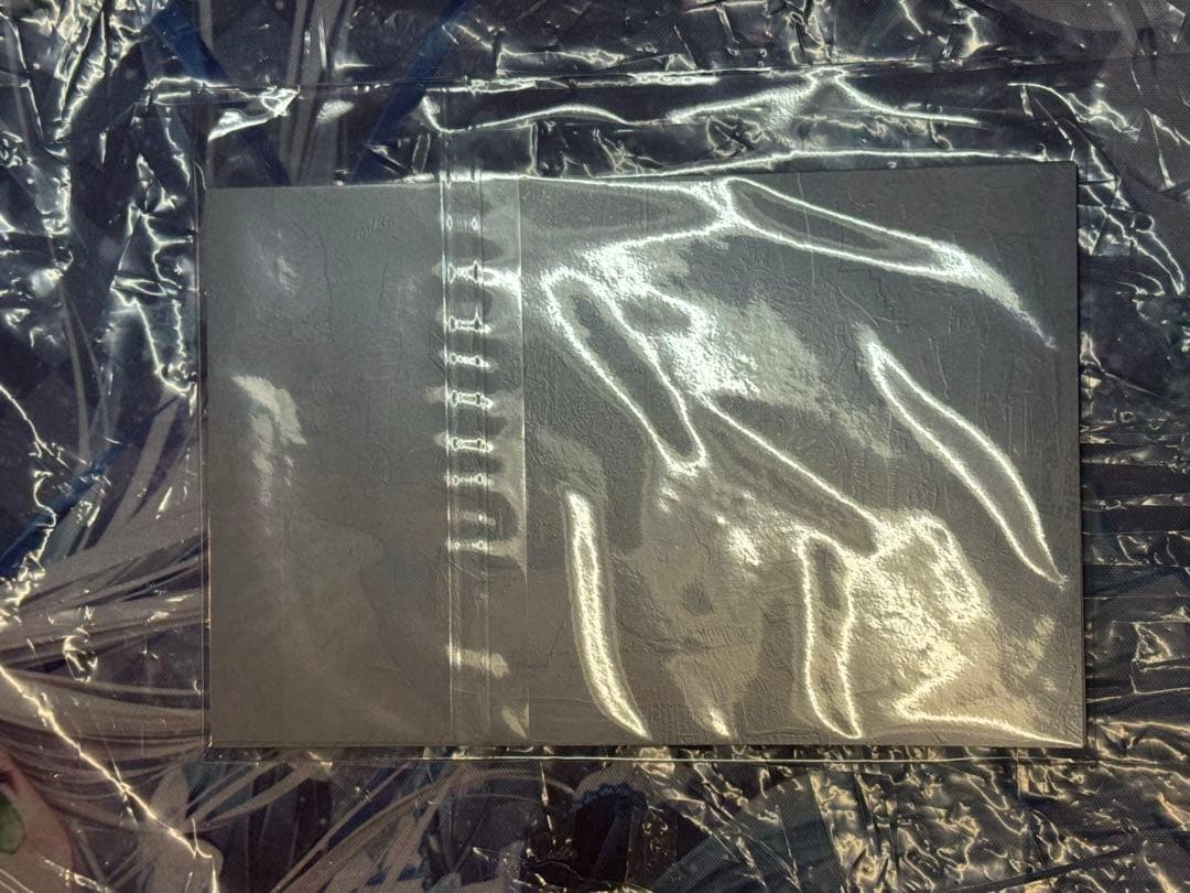 神聖かまってちゃん LIVE DVD記録映像 限定 写真 サイン付き