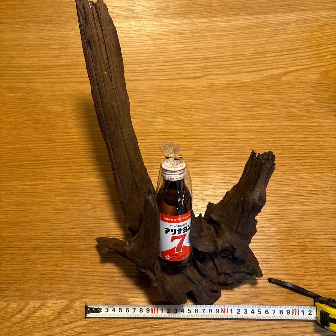 【早い者勝ち】ADA流木3本、他流木2本