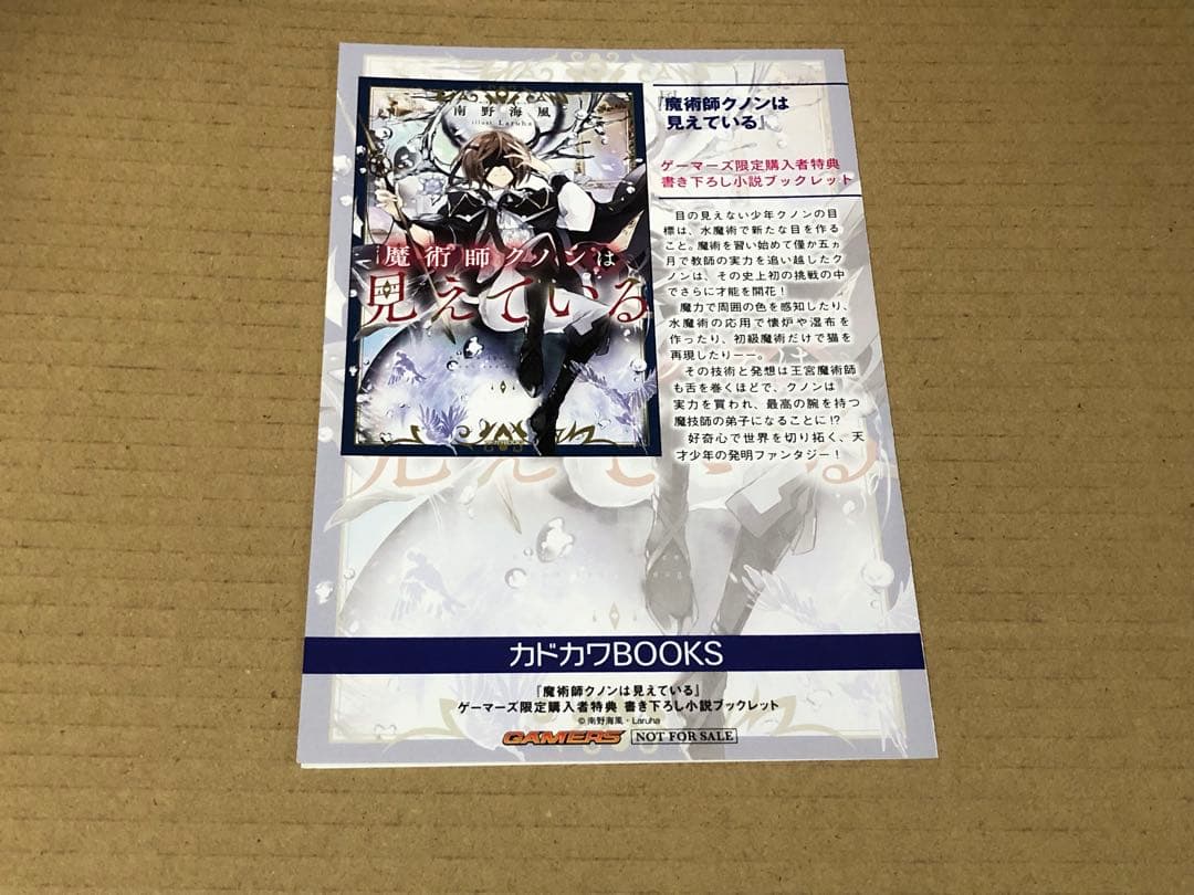 魔術師クノンは見えている　1巻　ブックレット