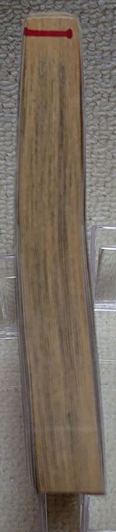 【炎の男】 川崎三枝子