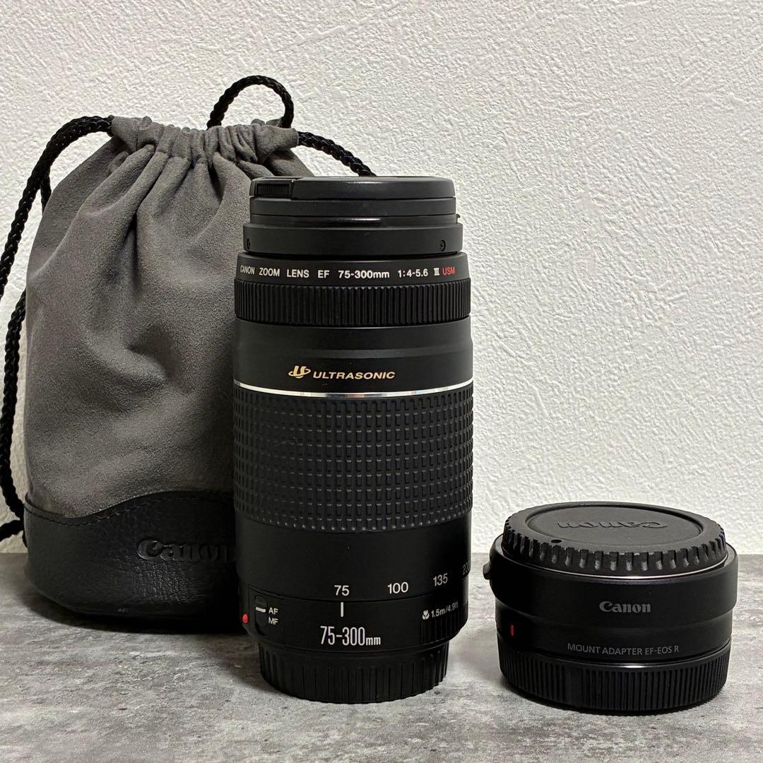 ⭐️美品⭐️Canon EF 75-300 III & EF-EOS R アダプター