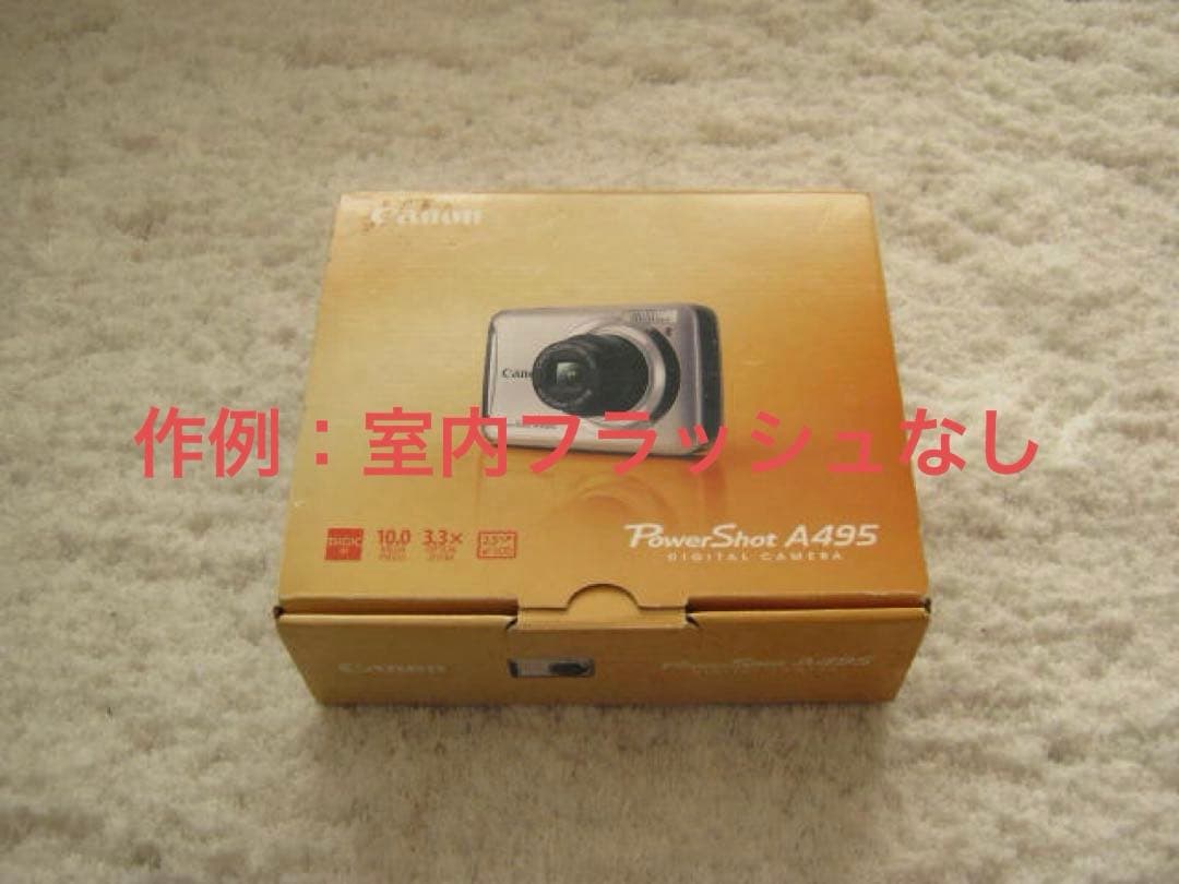 【動作確認済】Canon キャノン PowerShot A495 レトロコンデジ