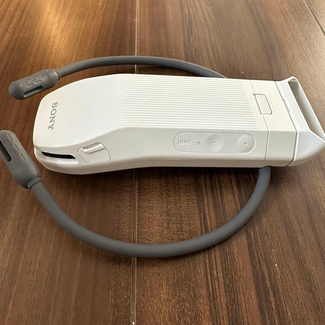 【付属品完備・美品】ソニー REON POCKET PRO