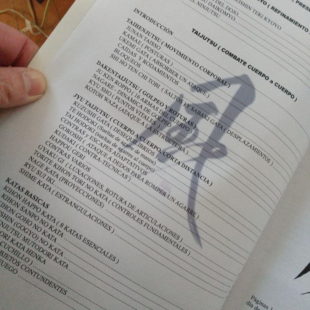 武神館　忍法体術基本技　ディスク付　古武道　武術　柔術　拳法　剣術