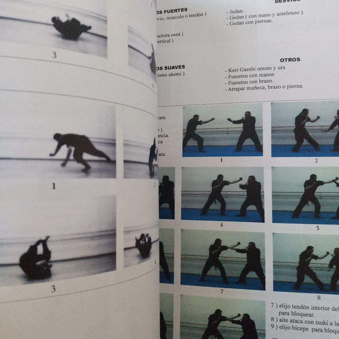 武神館　忍法体術基本技　ディスク付　古武道　武術　柔術　拳法　剣術