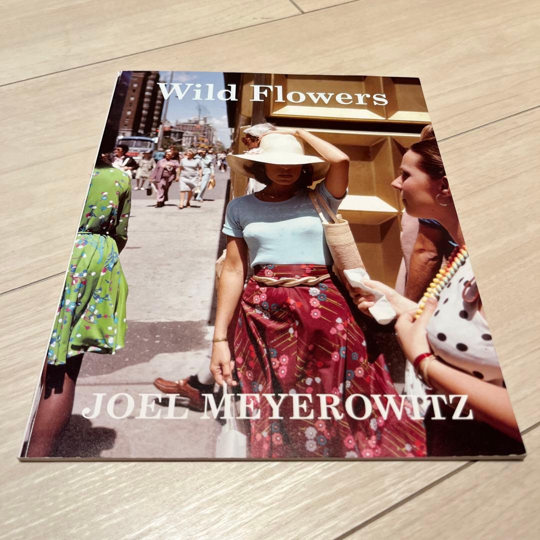 アート・デザイン・音楽 limited500 Wild Flowers Joel Meyerowitz