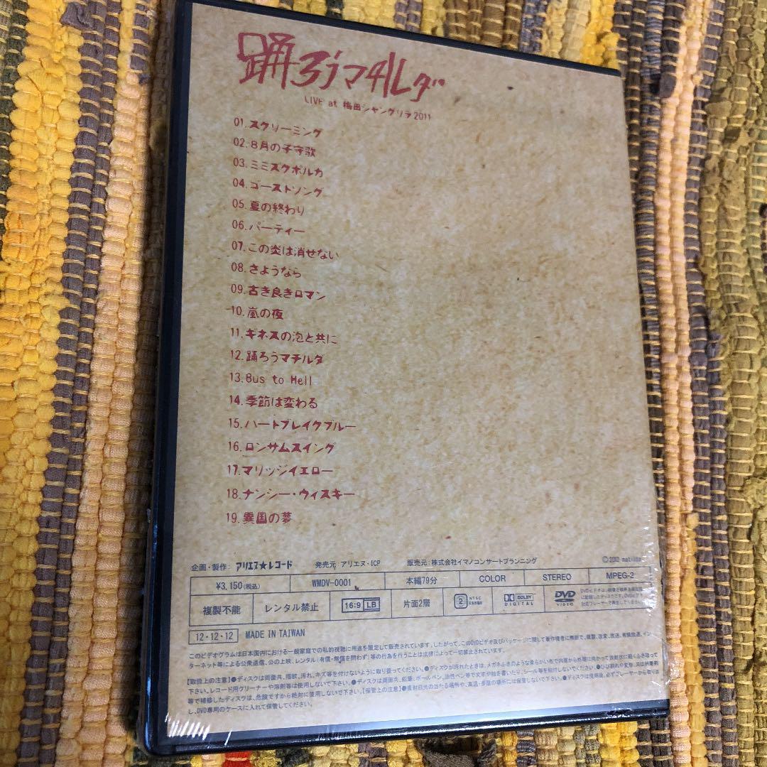 踊ろうマチルダDVD 新品　チャランポランタン小春