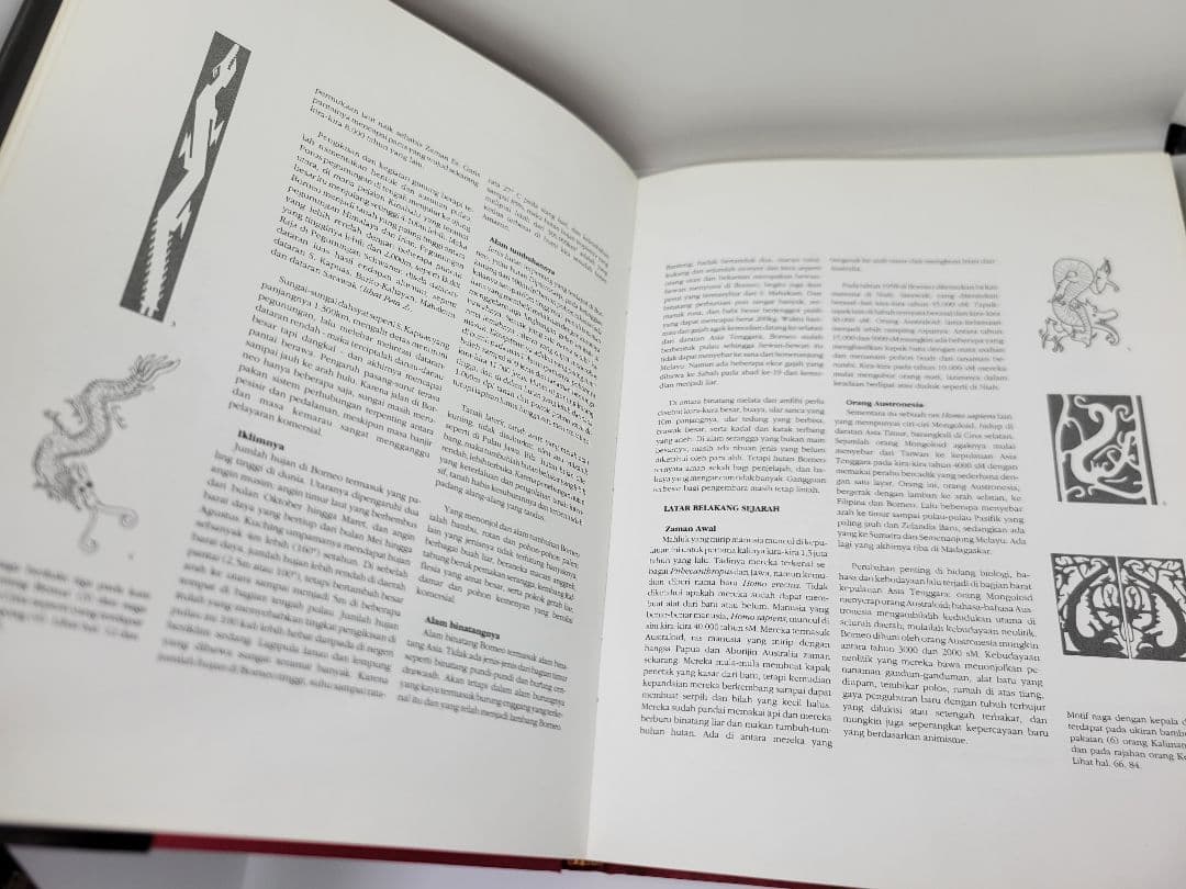 洋書 Hornbill and Dragon