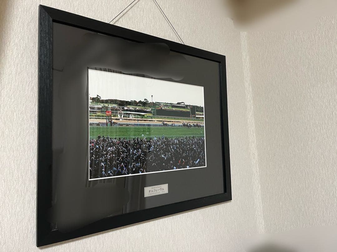 オルフェーヴル 有馬記念 パネル