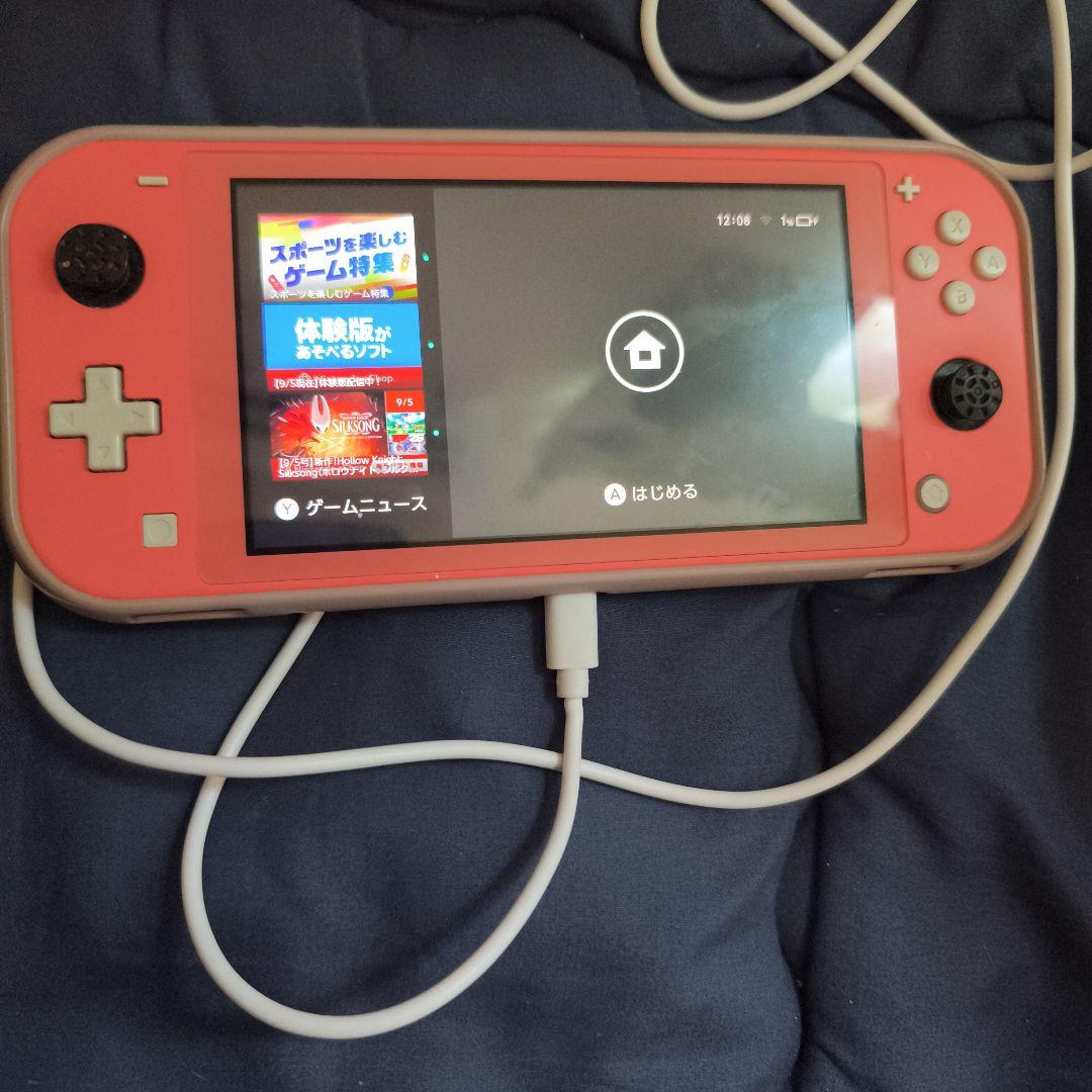 Nintendo Switch Lite 本体 のみ