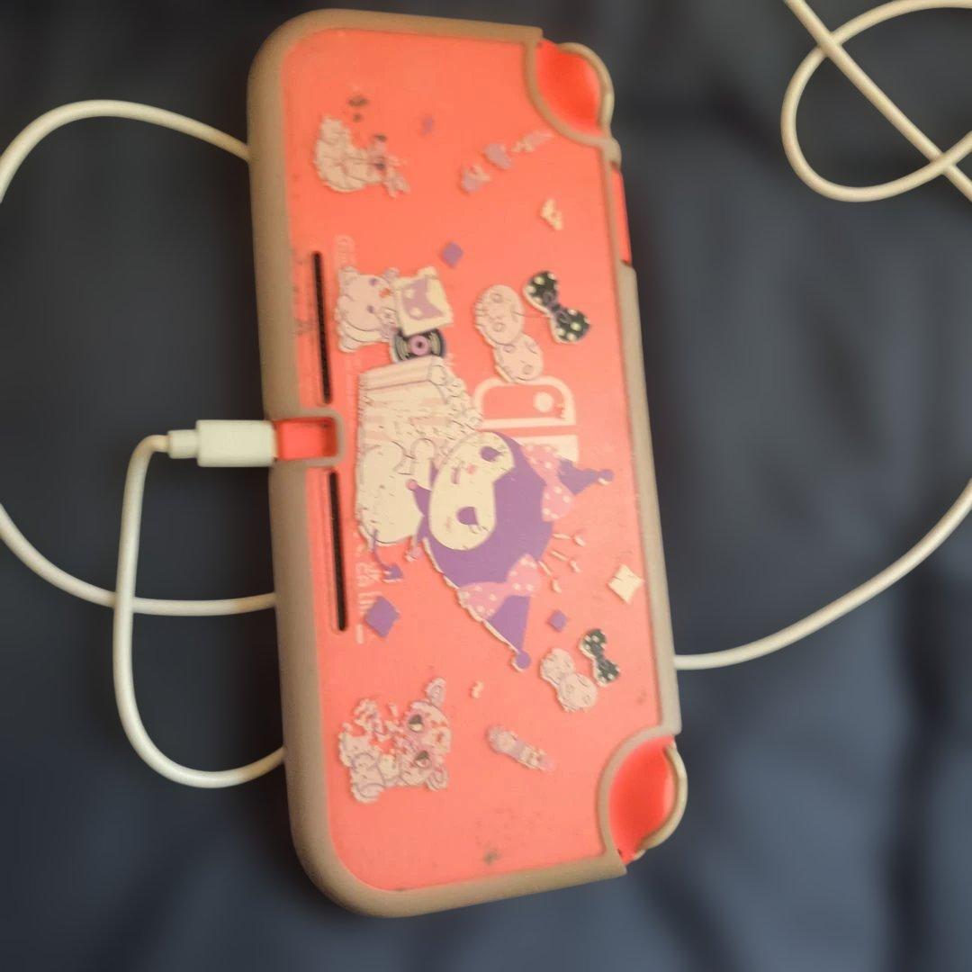 Nintendo Switch Lite 本体 のみ