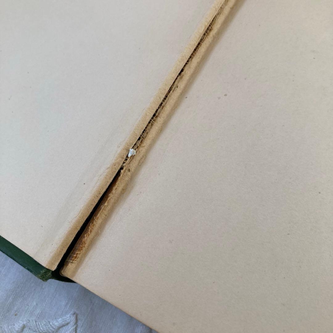 ★SALE★L809 洋書古書 1906年発行雰囲気たっぷりアンティーク植物図鑑