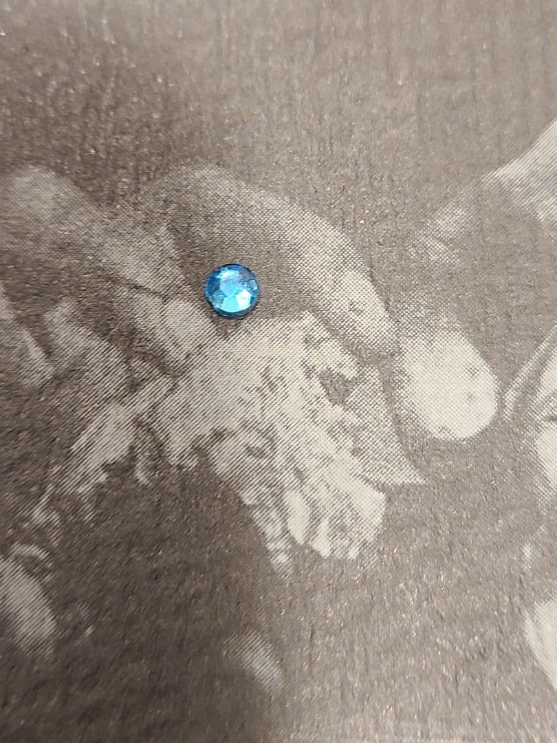 本「人類の起源」エルベール・トマ著　ビーズか宝石の粒が付く改造装丁に驚き！