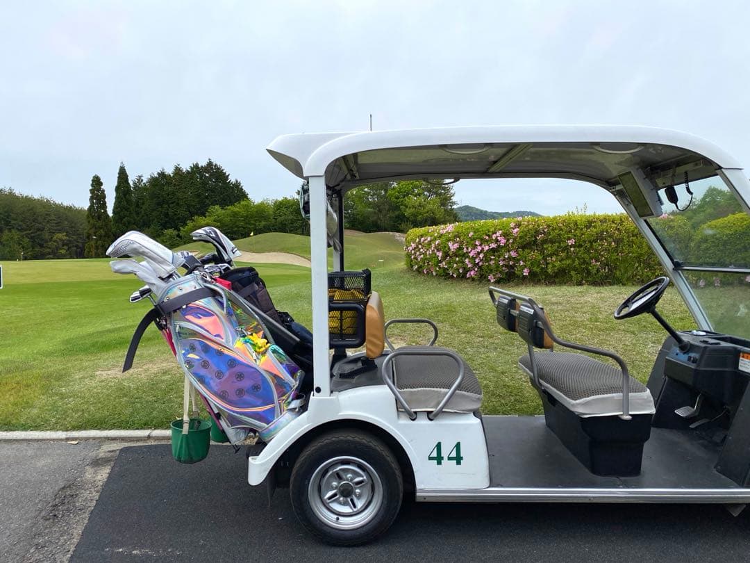 虹色 透明 PVC ゴルフバッグ