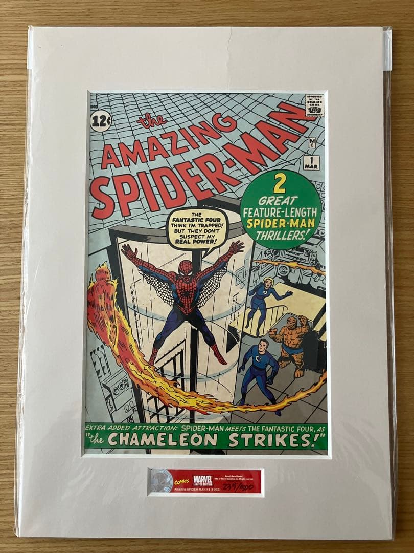 【即購入OK】Amazingスパイダーマン全世界500部限定 アートプリント