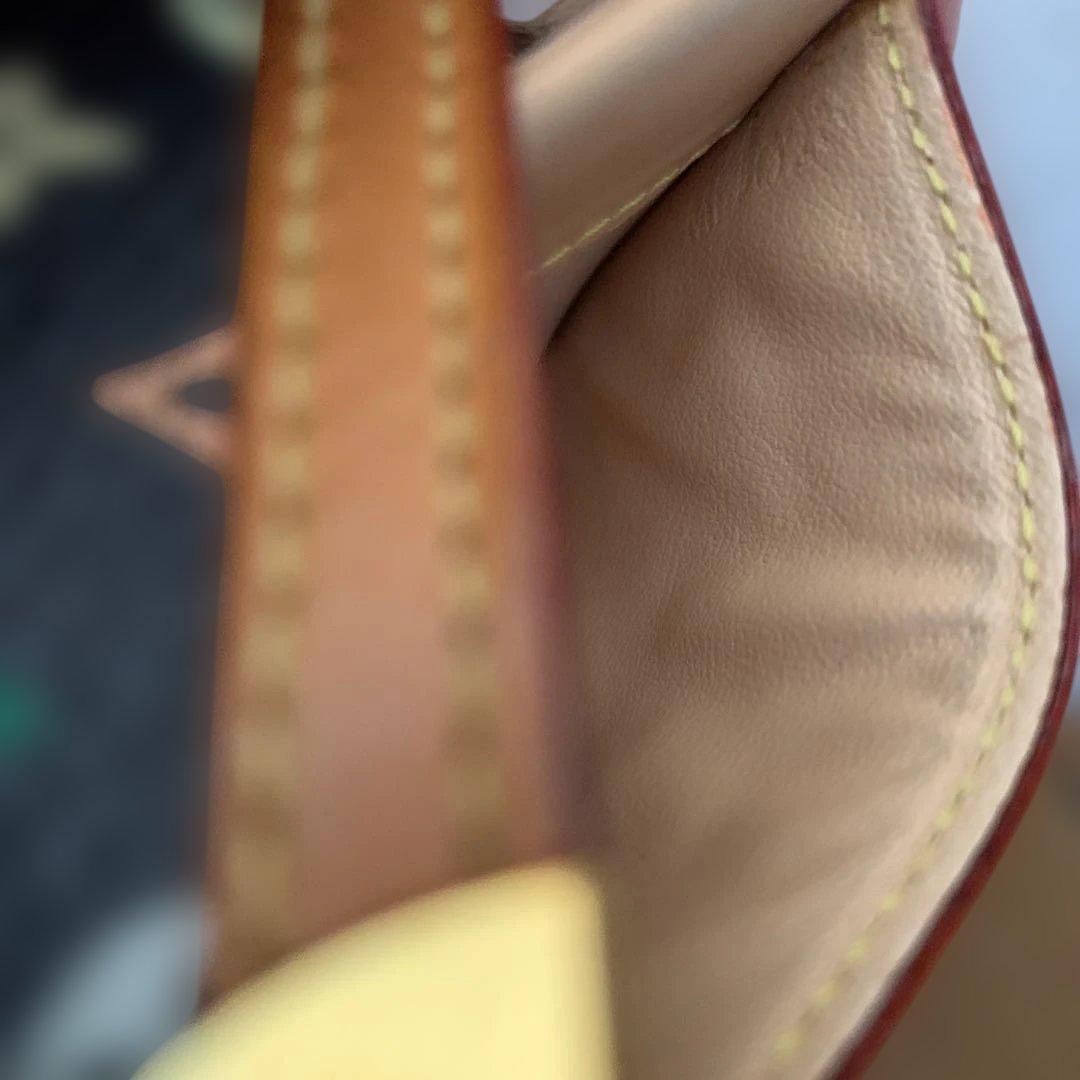 Louis Vuitton マルチカラー ケース