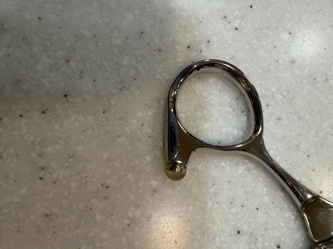 YAGYU柳生REOX 6.5インチ シーザー