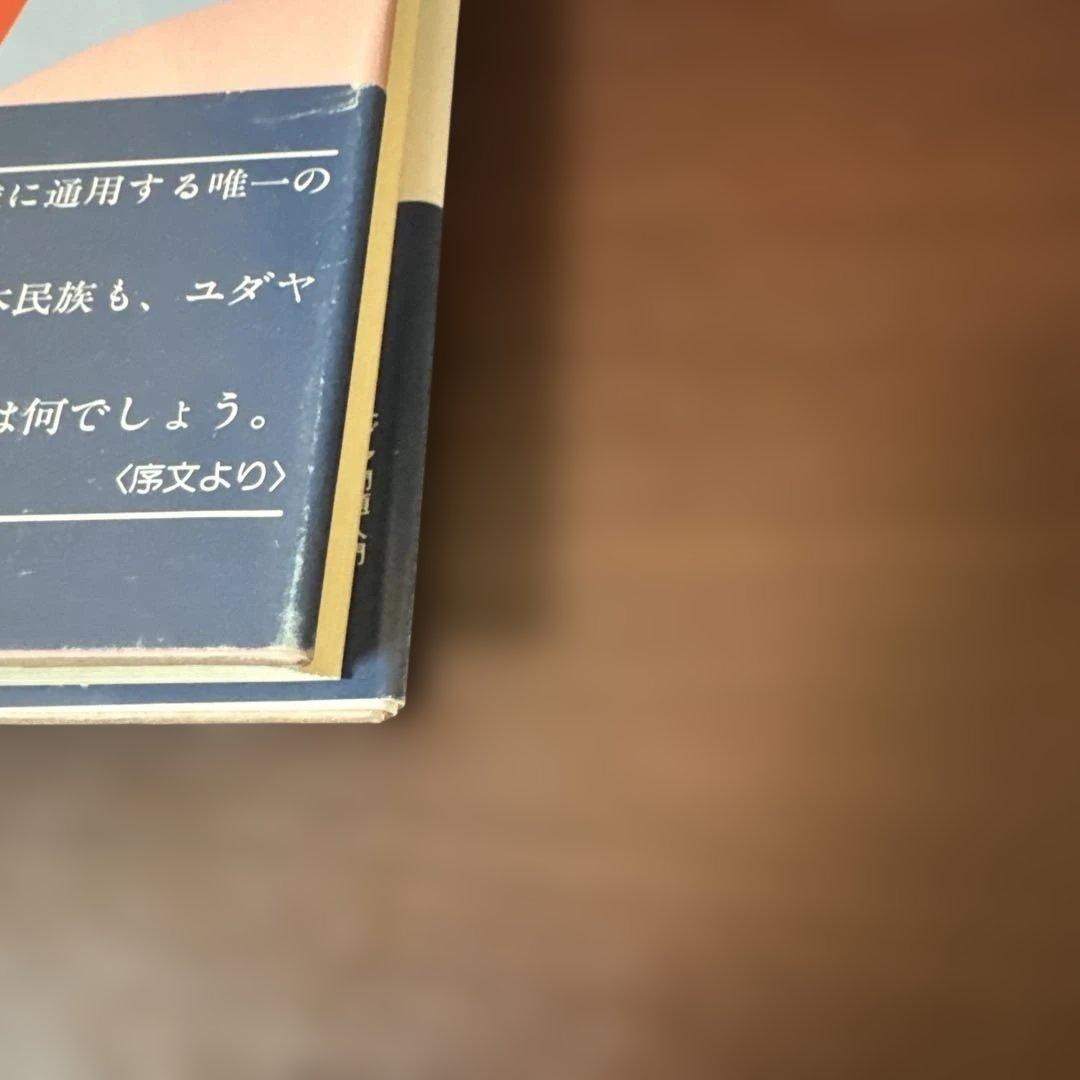 ユダヤ問題入門 太田龍 泰流社