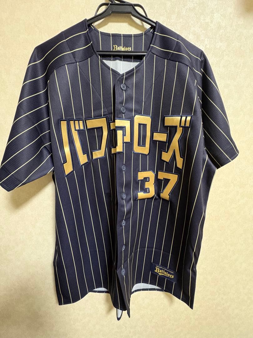 オリックスバファローズ　石川亮