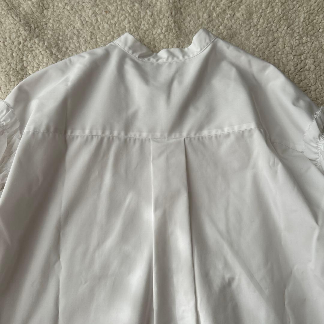 未使用　セオリーリュクスVALENTINE SHIRTフリル 白38 ブラウス