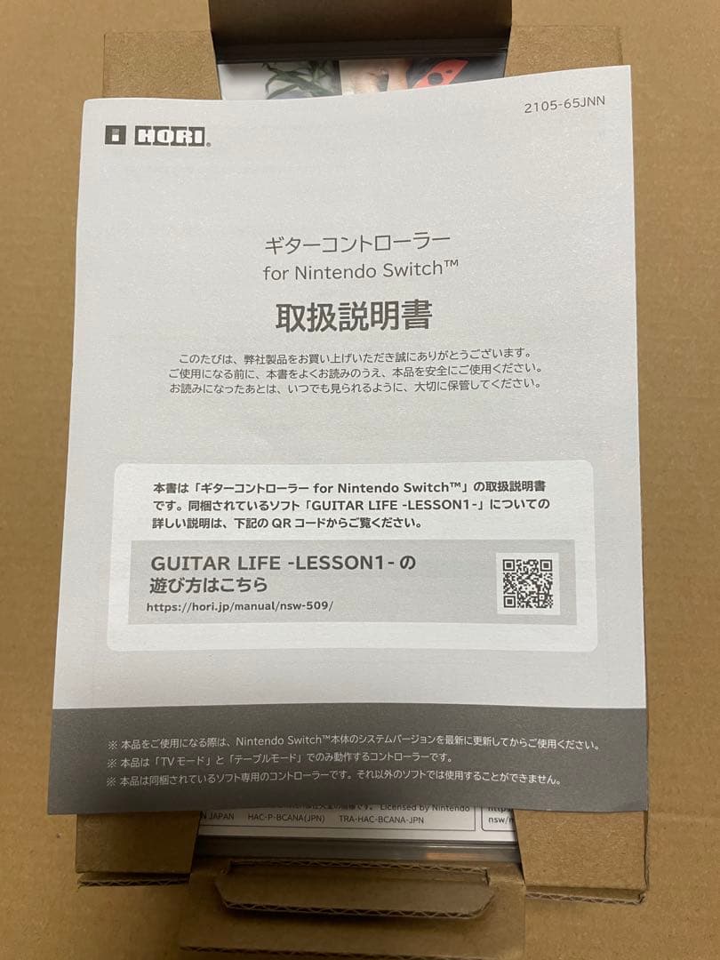GUITAR LIFE Nintendo Switch ギターライフ