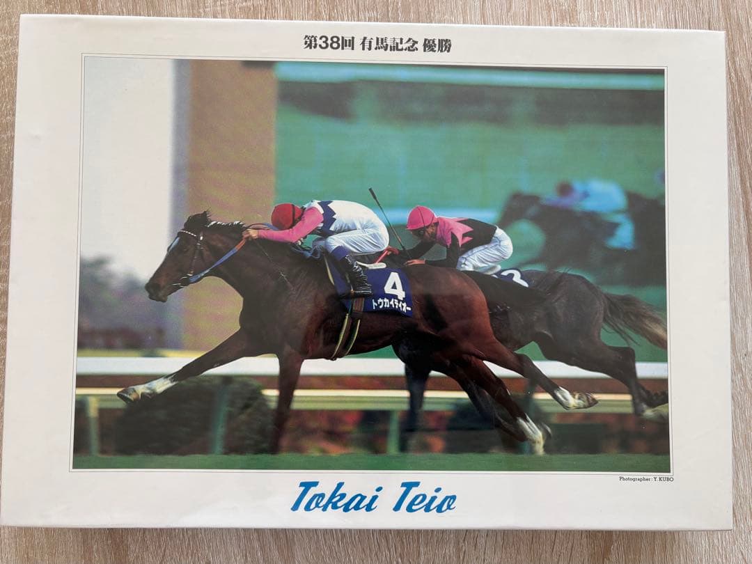 【未開封】トウカイテイオー 第38回有馬記念 1000P パズル