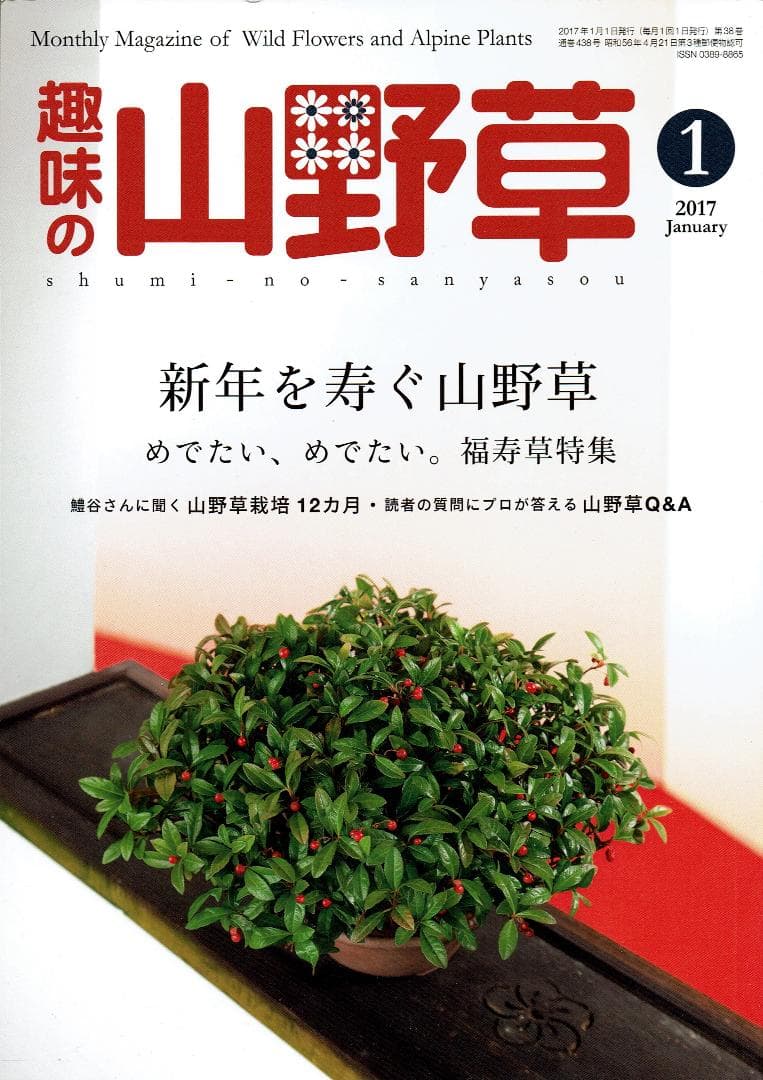 趣味の山野草 2017年01月号