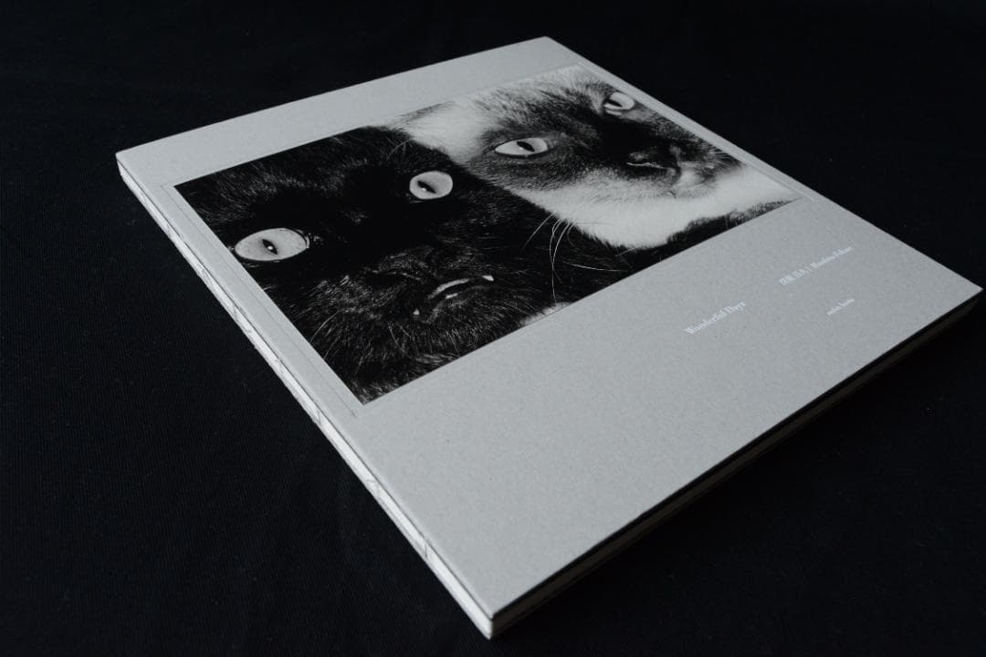 【Wanderful Day】深瀬昌久写真集　新品未読品