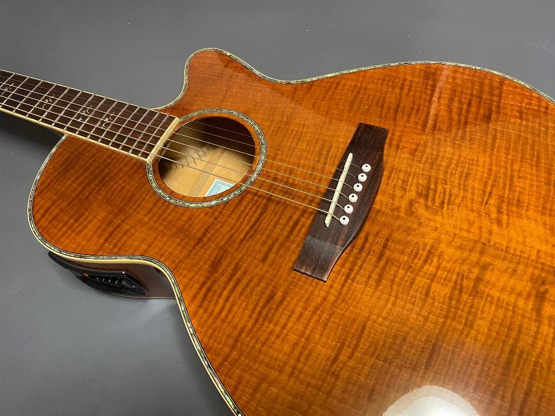 ギター Takamine Cooder TCP-560VB