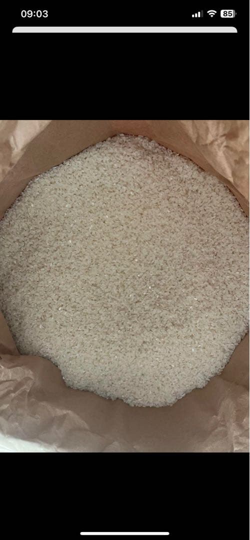 ダイエット米 1kg 紙袋入り