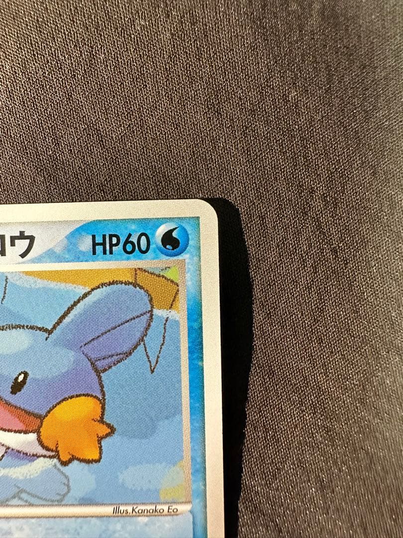 美品　ポケパークのミズゴロウ ポケパークプレミアムファイル 003/009