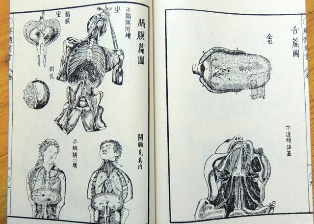 限定3000部 解体新書 解體新書 覆刻版 和綴本全5巻　解説書１巻　 杉田玄白