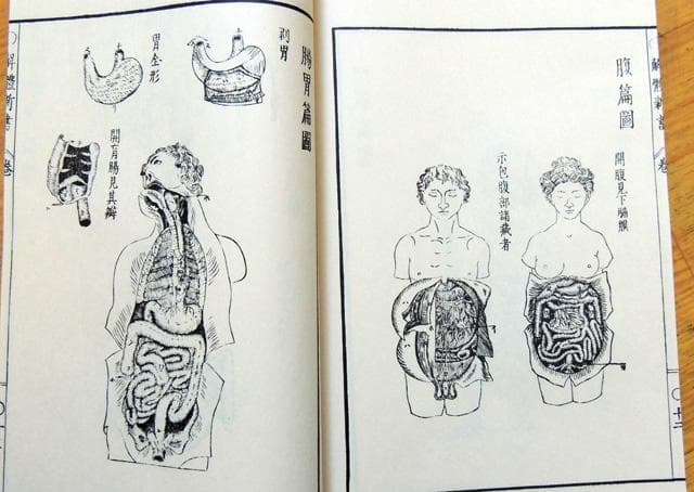 限定3000部 解体新書 解體新書 覆刻版 和綴本全5巻　解説書１巻　 杉田玄白