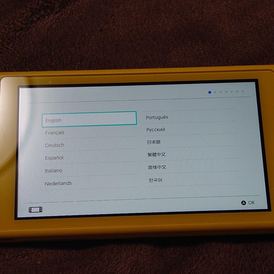 Nintendo switch lite 本体のみ