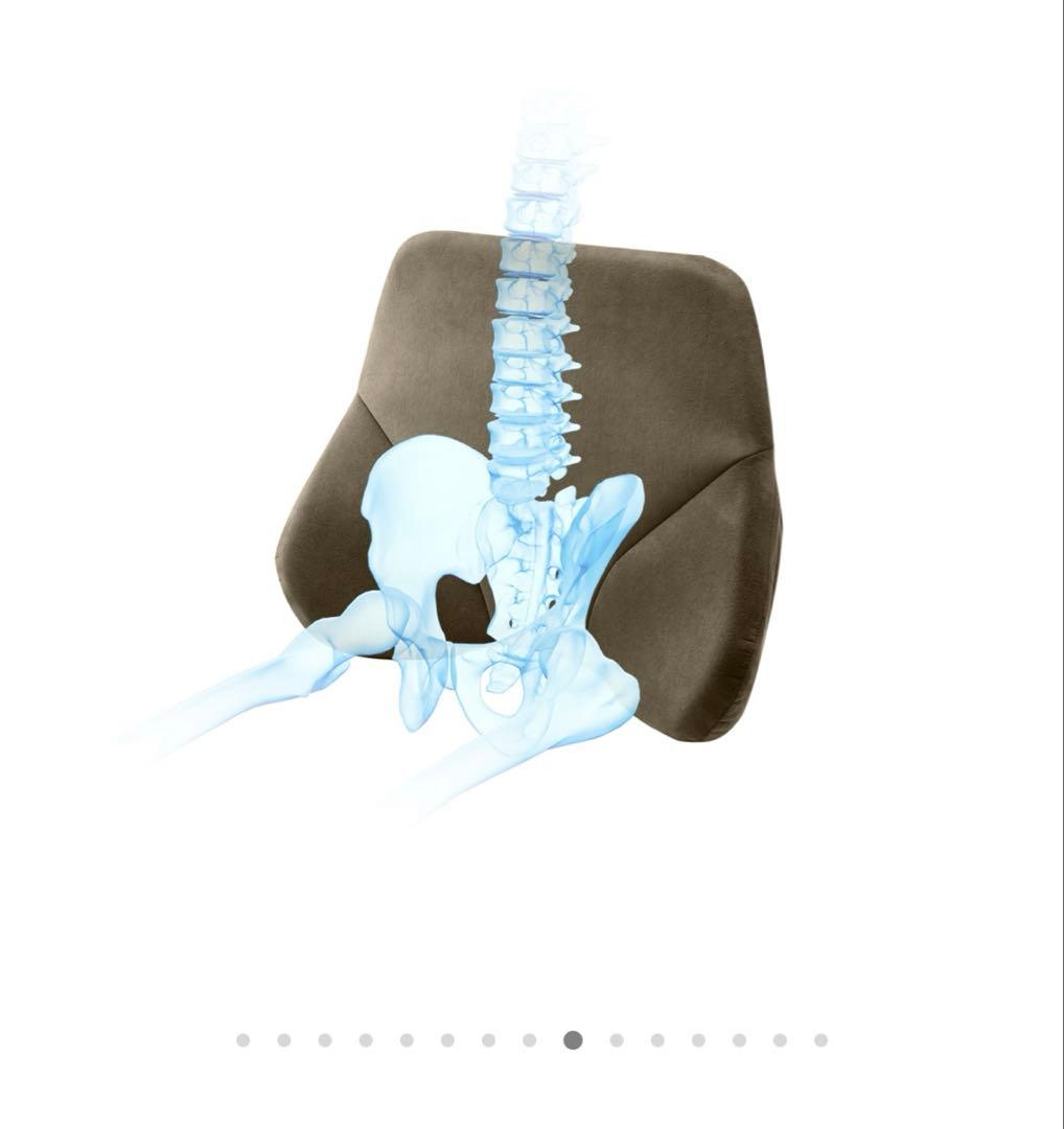 THE OWL バッククッション（ブルー）